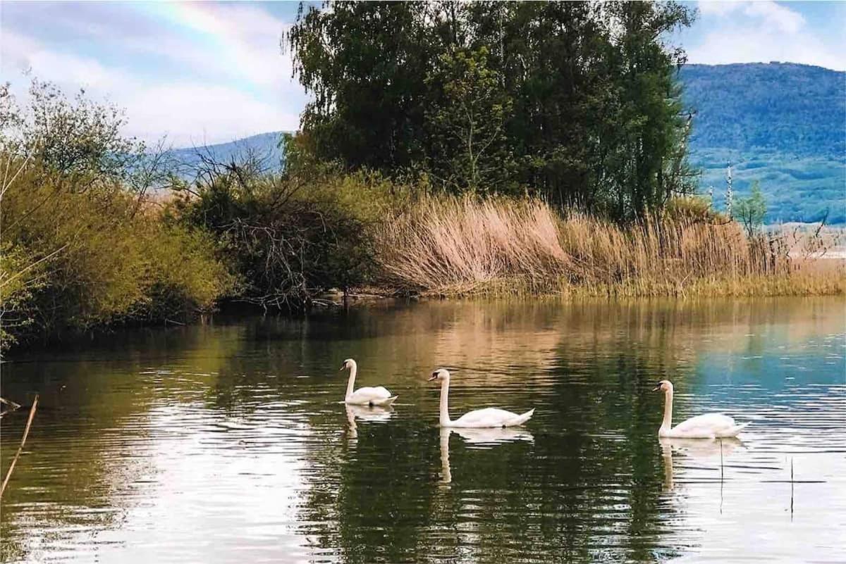 Chatillon  Lakeview Guesthouse With Two Bedrooms & Private Bathroom מראה חיצוני תמונה